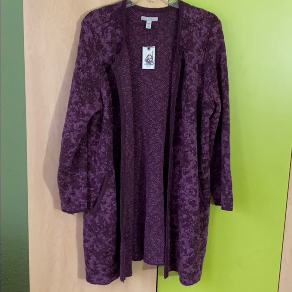 Dana Bachman sweater cardigan